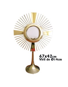 Custodia Metal Dorada Lisa...