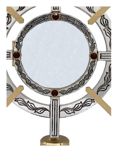 Custodia Plateada Bicolor Tipo Timon...