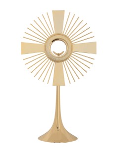 Custodia Metal Clasica...