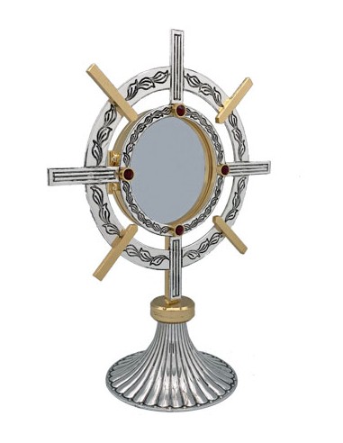 Custodia Plateada Bicolor Tipo Timon...