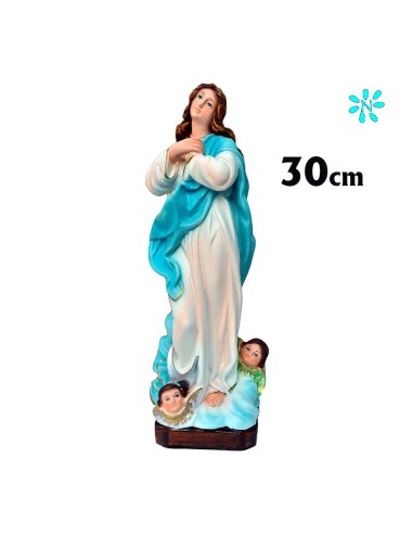 Virgen Purisima Res 30cm Decorada