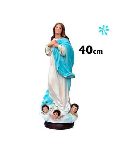 Virgen Purisima Res 40cm Decorada