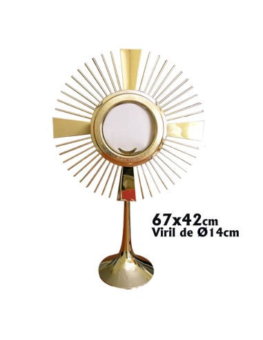 Custodia Metal Dorada Lisa Forma...
