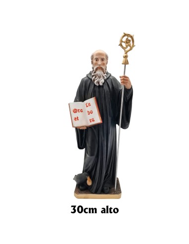 San Benito Res 30 cm