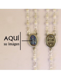 San Francisco Con Animales...