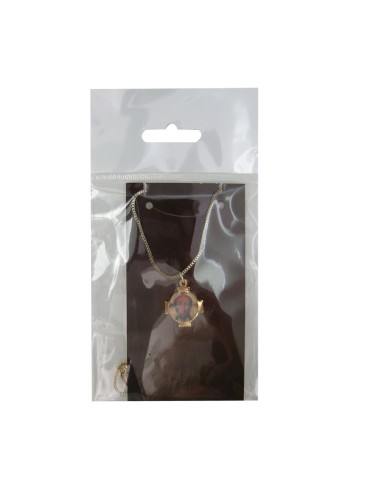 Medalla Dorada Foto Con Cadena 4...