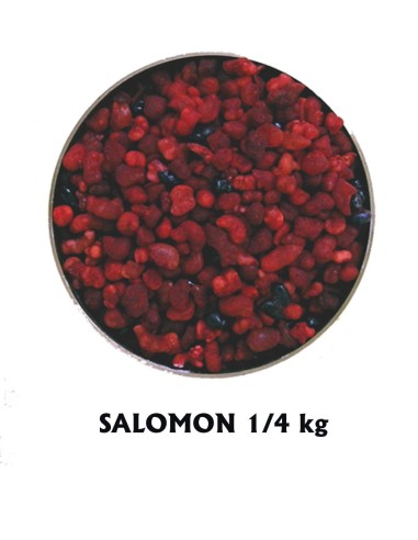 Incienso Salomon 1/4 Kg