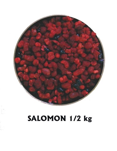 Incienso Salomon 1/2 Kg