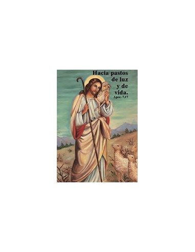 Estampa Con Oracion S-1059/1 Jesus Pastor Hacia Pastos De Luz 7x11cm