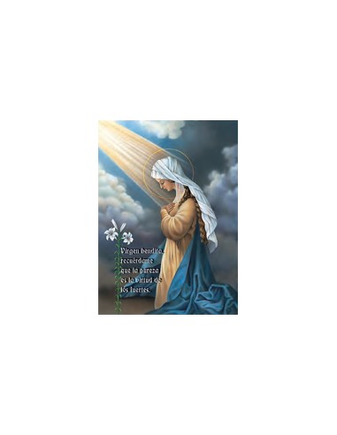 Estampa Con Oracion S-1010/1 Virgen Bendita 7x11cm