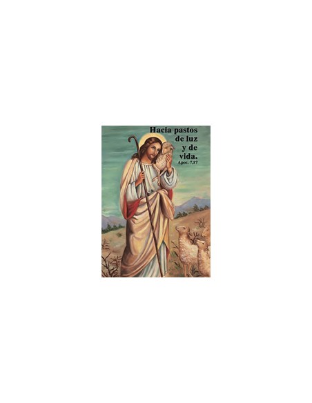 Incienso Perpetuo Socorro 1/2 Kg