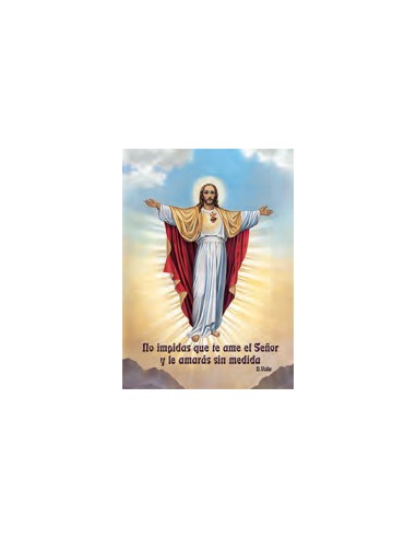 Estampa Con Oracion S-33/1 Jesus No Impidas Que Te Ame