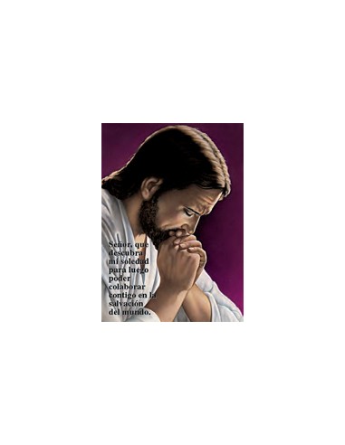 Estampa Con Oracion S-329/1 Jesus Rezando Fondo Morado