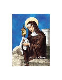 Estampa CM N3420 Virgen De...