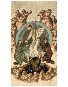 Estola Reversible Verde-...