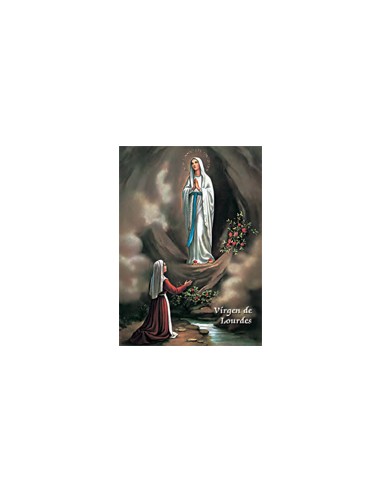 Estampa Con Oracion S-78/1 Virgen Lourdes 7x11cm