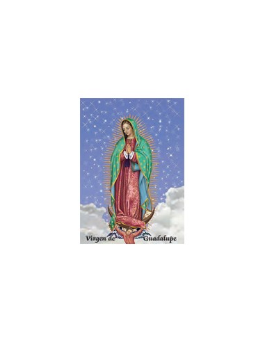 Estampa Con Oracion S-14/1/1 Virgen Guadalupe 7x11cm