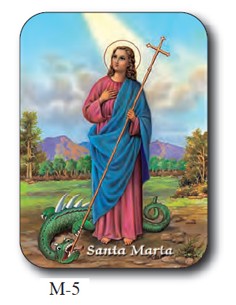 Estampa Mini M-5 Santa...