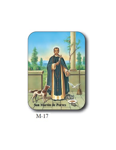 Estampa Mini M-17 San Martin De...