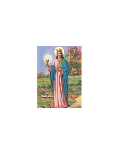 Estampa Mini M-47 Virgen De Medjugore 4. 4x6cm