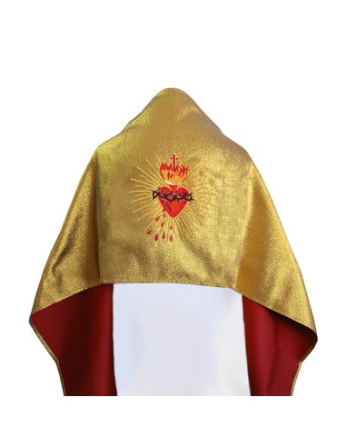 Paño De Hombros Corazon De Jesús...