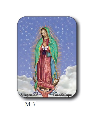 Estampa Mini M-3 Virgen De Guadalupe 4. 4x6cm