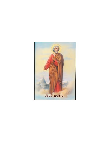 Lamina 21x30 CM Perpetuo Socorro Sa-36