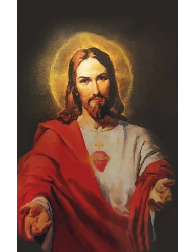 Dalmatica Estampada Con Galon Cruces...