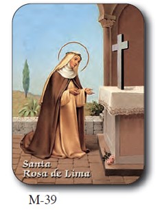 Estampa Mini M-39 Santa...