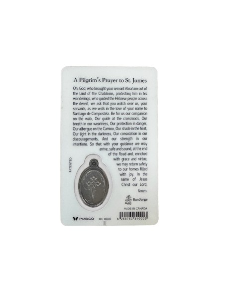 Estampa Cm N31000 St James Pilgrim?S Portico Of The Glory