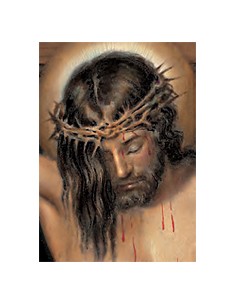 Estampa Con Oracion...