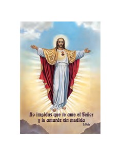 Estampa Cm N3422 Virgen Del...