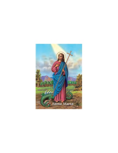 Estampa Con Oracion S-1034/1 Virgen...