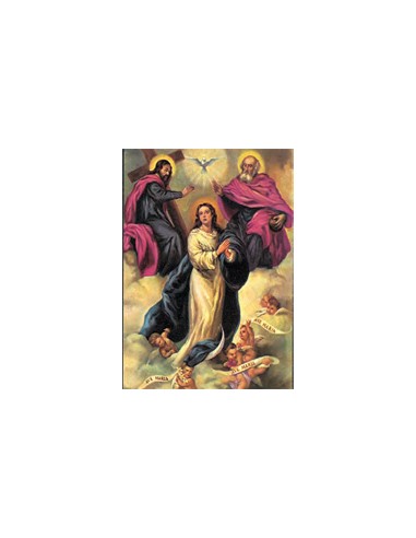 Estampa Con Oracion S-1017/1 Virgen...