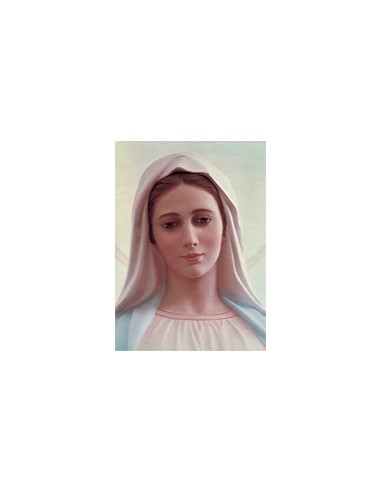 Estampa Con Oracion S-1062/1 Virgen...