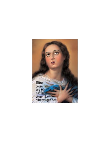 Estampa Con Oracion S-1017/1 Virgen...