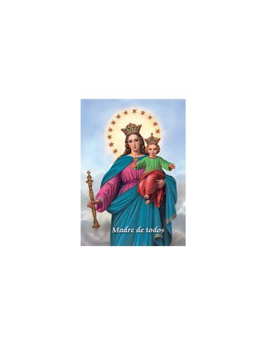 Estampa Con Oracion S-19/B/1 Virgen...