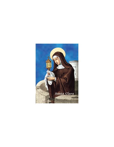 Estampa Con Oracion S-1017/1 Virgen...