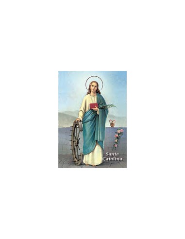 Estampa Con Oracion S-1076/1 Virgen...