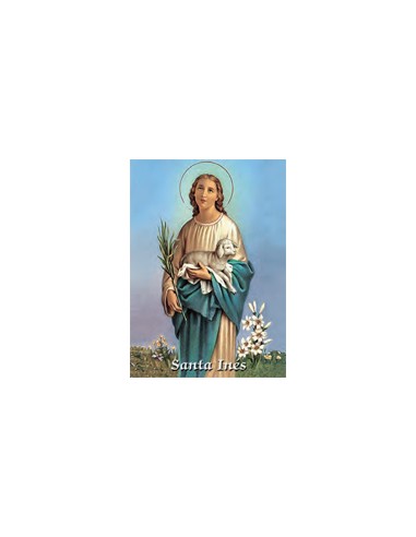 Estampa Con Oracion S-87/1 Santa Ines...
