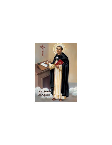 Estampa Con Oracion S-50/1 Santo...