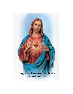 Estampa Cm N3141 Virgen Rocio