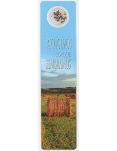 Separador Con Medalla...