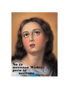 Estampa Cm N3195 Virgen Pilar