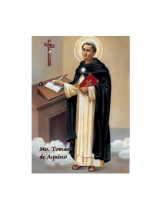 Estampa Con Oracion S-50/1...