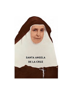 Virgen Milagrosa Estampada...