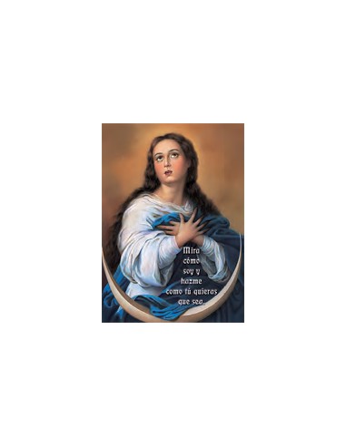 Estampa Con Oracion S-1001/1 Virgen...