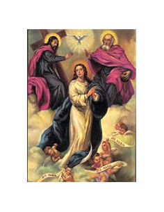 Estampa Cm N3115 Virgen De...