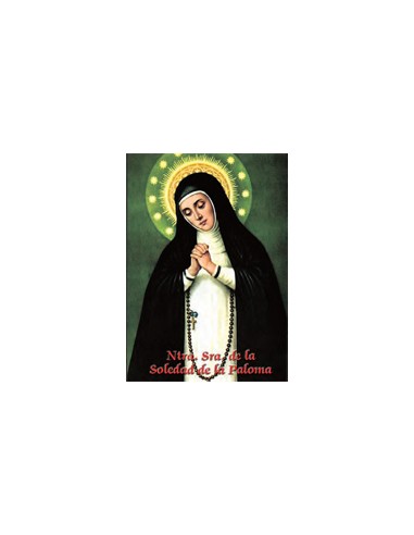 Estampa Con Oracion S-22/1/1 Virgen...
