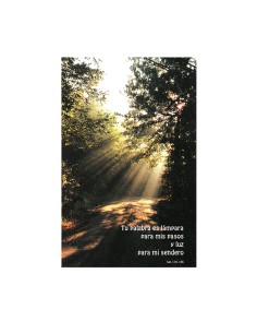 Estampa Con Oracion...